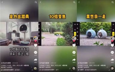 在抖音，如何借力「中能魔力」经纪管理系统，精准捧红一只猫？